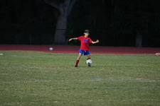 Enlarge photo 248