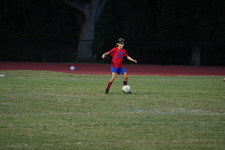 Enlarge photo 249
