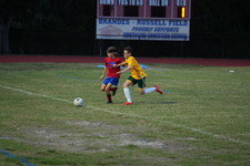 Enlarge photo 269