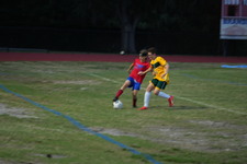 Enlarge photo 270