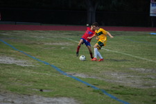 Enlarge photo 271