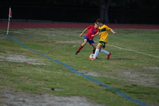 Enlarge photo 272