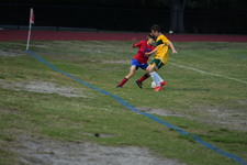 Enlarge photo 273