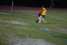 Enlarge photo 275