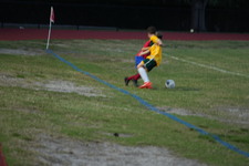 Enlarge photo 274