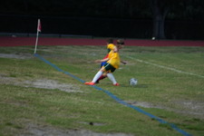 Enlarge photo 276