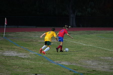Enlarge photo 278