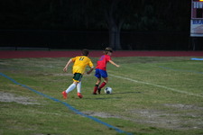 Enlarge photo 279