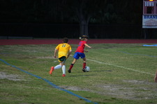 Enlarge photo 280