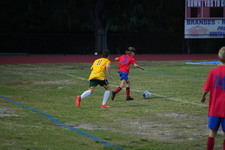 Enlarge photo 283