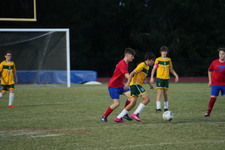 Enlarge photo 298