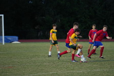 Enlarge photo 303