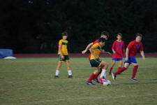 Enlarge photo 304
