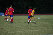 Enlarge photo 307