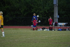 Enlarge photo 312