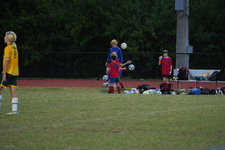 Enlarge photo 313