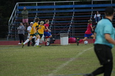 Enlarge photo 399