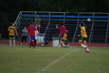 Enlarge photo 417
