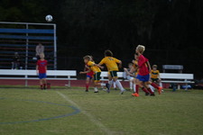Enlarge photo 422