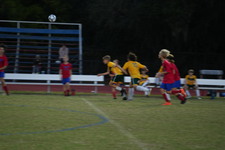 Enlarge photo 423