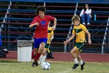 Enlarge photo 424