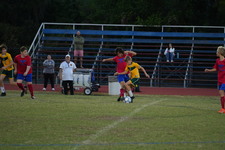 Enlarge photo 428