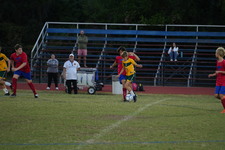 Enlarge photo 427