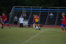 Enlarge photo 429