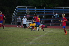 Enlarge photo 431