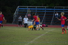 Enlarge photo 433