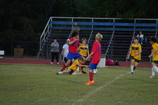 Enlarge photo 440