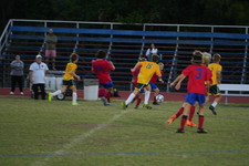 Enlarge photo 447
