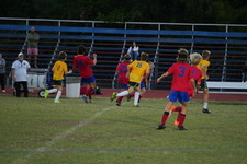 Enlarge photo 449