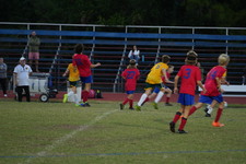 Enlarge photo 451