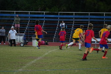 Enlarge photo 453