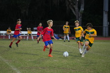 Enlarge photo 466