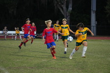 Enlarge photo 468