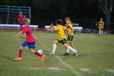 Enlarge photo 482