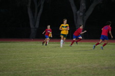 Enlarge photo 494