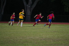 Enlarge photo 497
