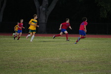 Enlarge photo 498
