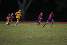 Enlarge photo 499