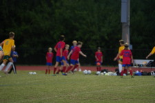 Enlarge photo 511