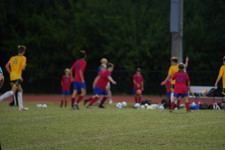 Enlarge photo 512