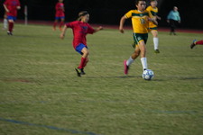 Enlarge photo 513