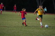 Enlarge photo 514