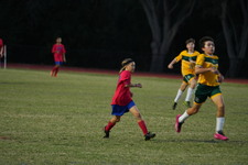 Enlarge photo 516