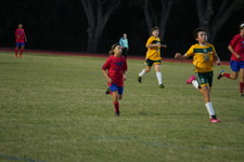 Enlarge photo 520
