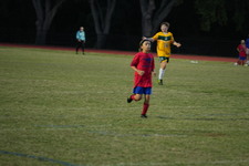 Enlarge photo 523