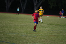 Enlarge photo 524